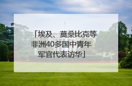 埃及、莫桑比克等非洲40多国中青年军官代表访华