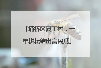埇桥区夏王村：十年耕耘结出富民瓜