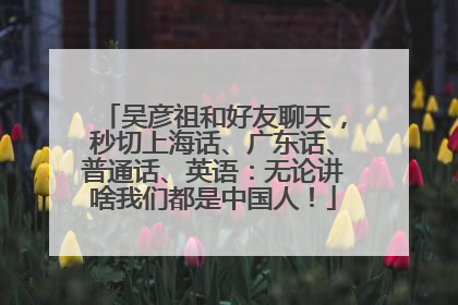吴彦祖和好友聊天，秒切上海话、广东话、普通话、英语：无论讲啥我们都是中国人！