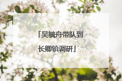 吴毓舟带队到长卿镇调研