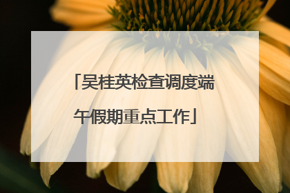 吴桂英检查调度端午假期重点工作