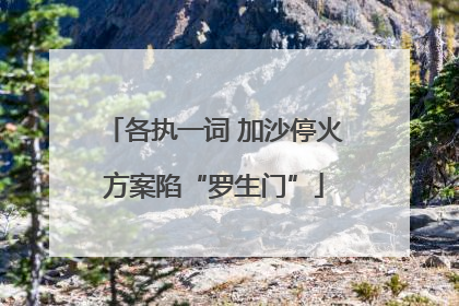 各执一词 加沙停火方案陷“罗生门”