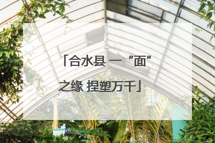 合水县 一“面”之缘 捏塑万千