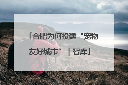 合肥为何投建“宠物友好城市”｜智库