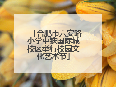 合肥市六安路小学中铁国际城校区举行校园文化艺术节