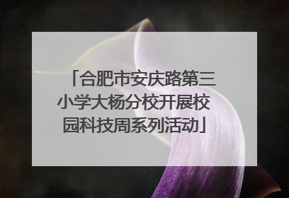 合肥市安庆路第三小学大杨分校开展校园科技周系列活动