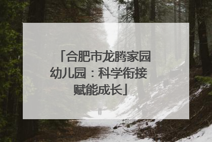 合肥市龙腾家园幼儿园：科学衔接 赋能成长