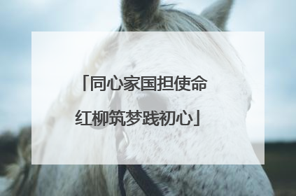 同心家国担使命 红柳筑梦践初心