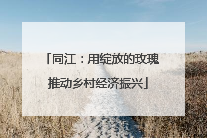 同江：用绽放的玫瑰 推动乡村经济振兴