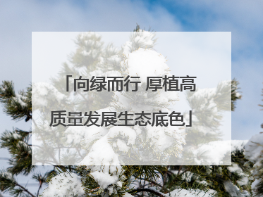 向绿而行 厚植高质量发展生态底色