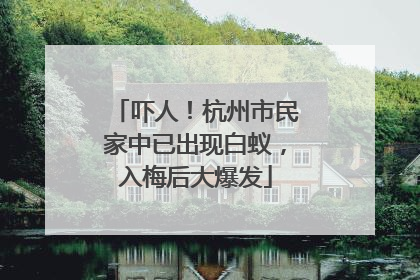 吓人！杭州市民家中已出现白蚁，入梅后大爆发