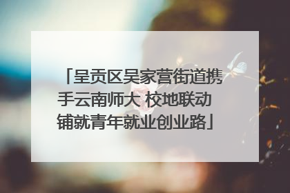 呈贡区吴家营街道携手云南师大 校地联动铺就青年就业创业路