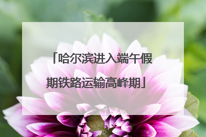 哈尔滨进入端午假期铁路运输高峰期
