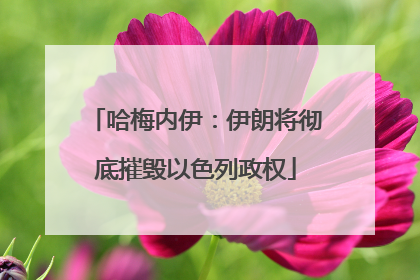 哈梅内伊：伊朗将彻底摧毁以色列政权