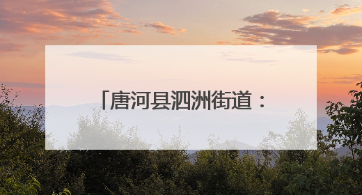 唐河县泗洲街道：深学细悟强本领 履职尽责担使命
