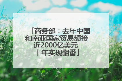 商务部：去年中国和南亚国家贸易额接近2000亿美元 十年实现翻番