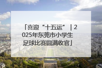 喜迎“十五运”｜2025年东莞市小学生足球比赛圆满收官