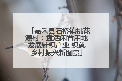 嘉禾县石桥镇桃花源村：盘活闲置用地发展针织产业 织就乡村振兴新图景