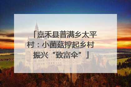 嘉禾县普满乡太平村：小菌菇撑起乡村振兴“致富伞”