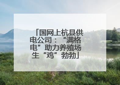国网上杭县供电公司：“满格电”助力养殖场生“鸡”勃勃