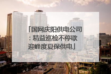 国网庆阳供电公司：精益巡检不停歇 迎峰度夏保供电