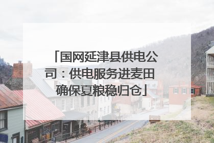 国网延津县供电公司：供电服务进麦田 确保夏粮稳归仓