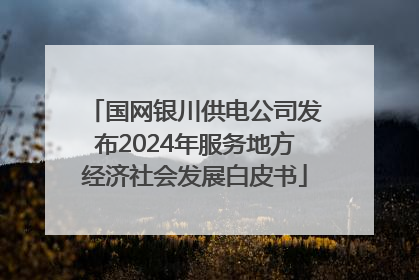 国网银川供电公司发布2024年服务地方经济社会发展白皮书