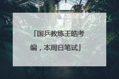 国乒教练王皓考编，本周日笔试