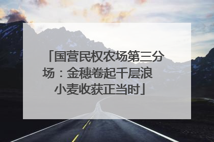 国营民权农场第三分场：金穗卷起千层浪 小麦收获正当时