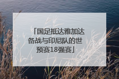 国足抵达雅加达备战与印尼队的世预赛18强赛