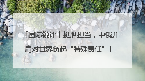 国际锐评丨挺膺担当，中俄并肩对世界负起“特殊责任”
