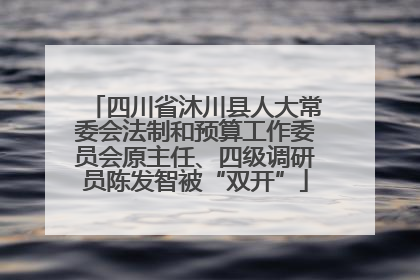 四川省沐川县人大常委会法制和预算工作委员会原主任、四级调研员陈发智被“双开”