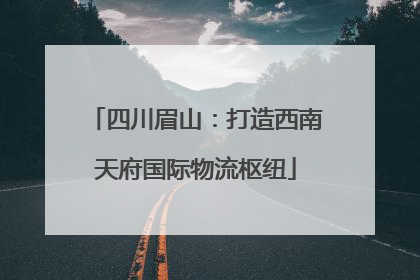 四川眉山：打造西南天府国际物流枢纽