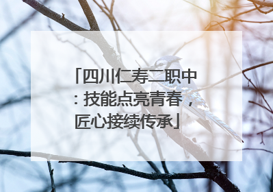 四川仁寿二职中：技能点亮青春，匠心接续传承