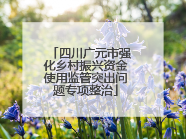 四川广元市强化乡村振兴资金使用监管突出问题专项整治