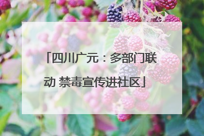 四川广元：多部门联动 禁毒宣传进社区