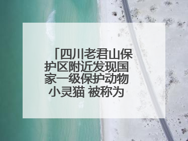 四川老君山保护区附近发现国家一级保护动物小灵猫 被称为“生态试纸”