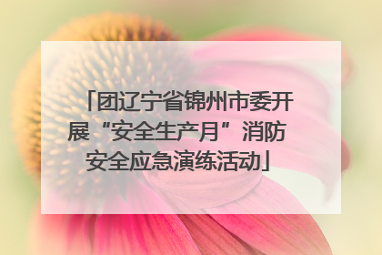 团辽宁省锦州市委开展“安全生产月”消防安全应急演练活动