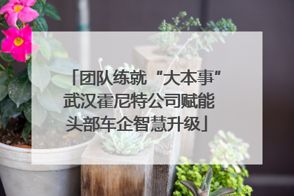 团队练就“大本事” 武汉霍尼特公司赋能头部车企智慧升级