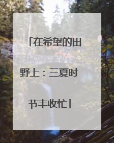在希望的田野上：三夏时节丰收忙