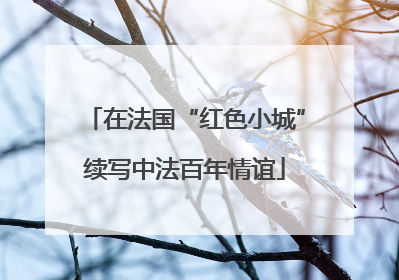 在法国“红色小城”续写中法百年情谊