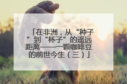 在非洲，从“种子”到“杯子”的遥远距离——一颗咖啡豆的前世今生（三）