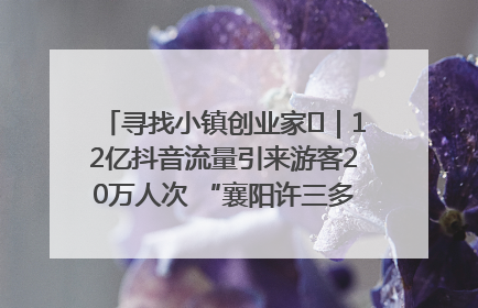 寻找小镇创业家㊱｜12亿抖音流量引来游客20万人次 “襄阳许三多”爆改家乡打造网红村