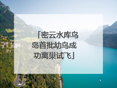 密云水库鸟岛首批幼鸟成功离巢试飞