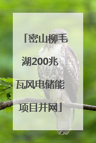 密山柳毛湖200兆瓦风电储能项目并网