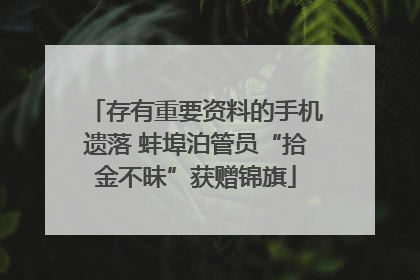 存有重要资料的手机遗落 蚌埠泊管员“拾金不昧”获赠锦旗