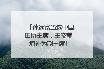 孙远富当选中国田协主席，王晓莹增补为副主席