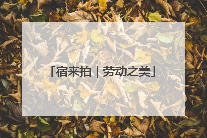 宿来拍｜劳动之美