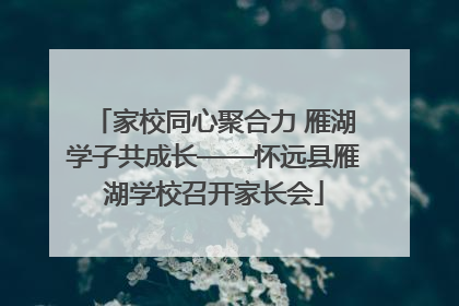 家校同心聚合力 雁湖学子共成长——怀远县雁湖学校召开家长会