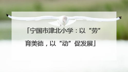 宁国市津北小学：以“劳”育美德，以“动”促发展